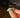 The Echo of you ring